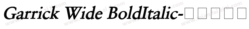 Garrick Wide BoldItalic字体转换